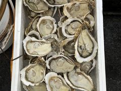 -阳江餐厅·30年老字号·粤菜海鲜大排档