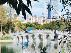 -四海公园(南山区)