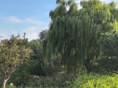 -北京西山国家森林公园