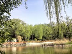 -三忘湖 SWANSEEN(柳荫公园店)