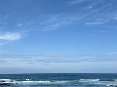 -涉地可支