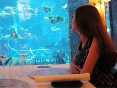 -迪拜帆船酒店海底餐厅