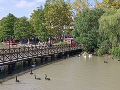 -上海野生动物园老虎餐厅