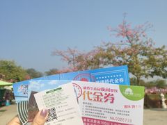 -盈香心动乐园
