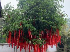 -兴福老面馆(寺路街店)