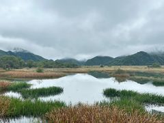 -大九湖