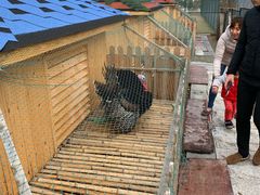 -上海崇明金茂凯悦酒店