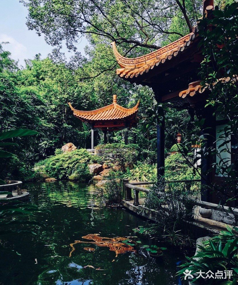 广州周末游|体验空谷幽兰～兰圃