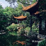 广州周末游|体验空谷幽兰～兰圃