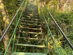 -藏龙百瀑风景区