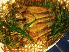 葱烤小黄鱼-建国328 本帮小馆·面馆