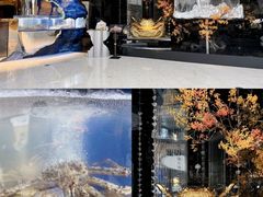 -上海尚嘉中心