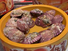 -龍歌自助小火锅(芝罘万达店)