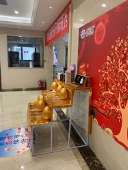 -碧莲盛·不剃发植发