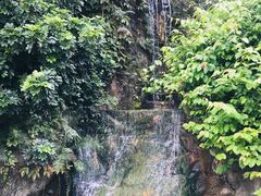 -金鸡山公园