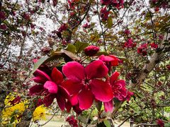 -元大都城垣遗址公园