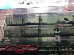 -巽东海鲜大排档(巽寮湾店)