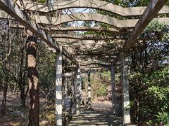 -虞山风景区