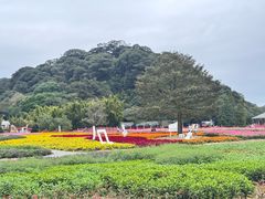 -广州市石门国家森林公园