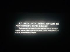 -金逸影城(大悦城IMAX激光店)