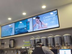 -雾与山茶(大禹城店)