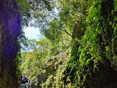 -华蓥山天意谷景区