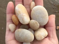 -烟墩角天鹅湖