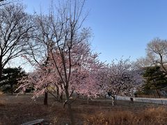 -北京西山国家森林公园