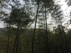 -山沟沟景区