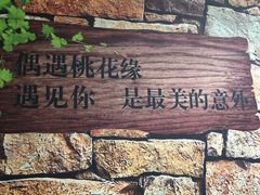 -朝画惜时·陶艺·拼豆·团建