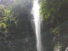 -莫里热带雨林景区