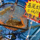 够鲜👍👍绵阳新开的现捞现煮的海鲜火锅！！