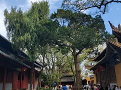 -普陀山慧济禅寺