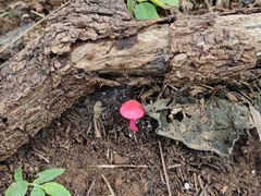 -北京西山国家森林公园