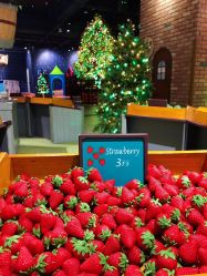 -幻贝家儿童乐园(苏州中心店)