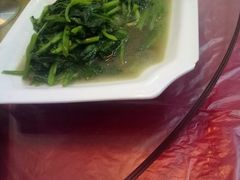 -品雅轩农家乐
