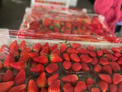 -东方鼎信农副产品交易中心