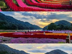 -广州市石门国家森林公园