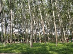 -仁和公园(顺义区)