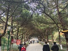 -南岳衡山风景名胜区-南岳大庙