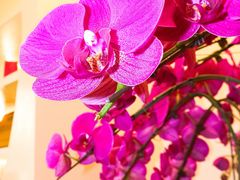 -微笑时刻照相馆·企业合影·商务外拍(北京五道口店)