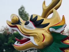 -长洲岛