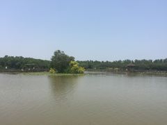 -大湾区中央湿地公园