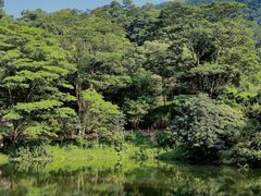 -火炉山森林公园