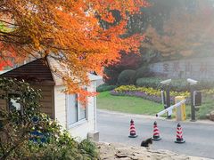 -宝界山林公园