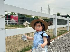 -菊园百果园