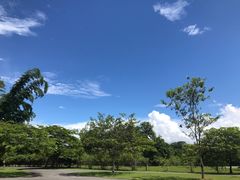 -中国科学院西双版纳热带植物园