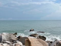 -广东惠东海龟国家级自然保护区