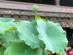 -自贡市盐业历史博物馆