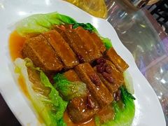 -东鸽皇(奥园·中环广场店)